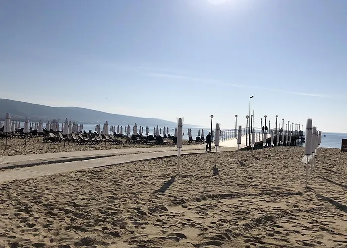 Flamingo サニービーチ