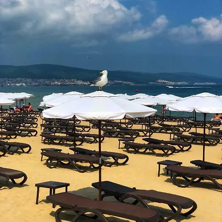 فندق Flamingo 3*