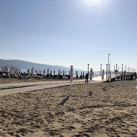 Flamingo Sunny Beach