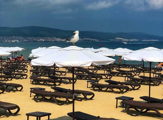 מלון Flamingo 3*